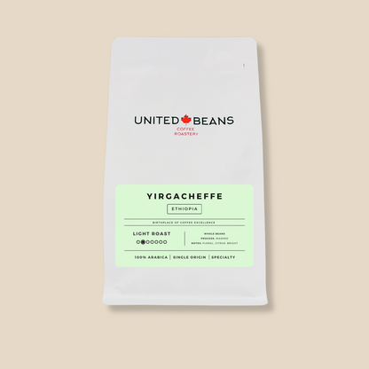 Yirgacheffe Ethiopia | Light - United Beans