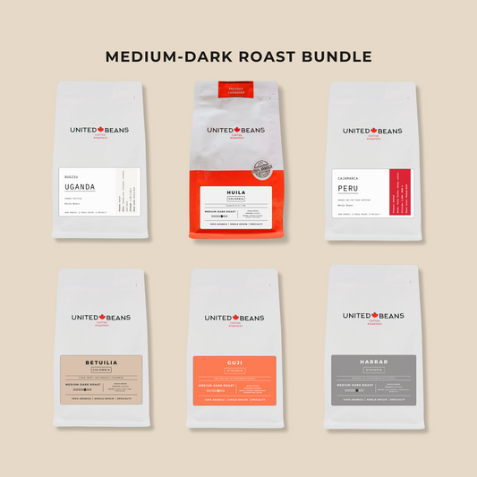 Medium-Dark Roast Coffee Bundle | 6 bags