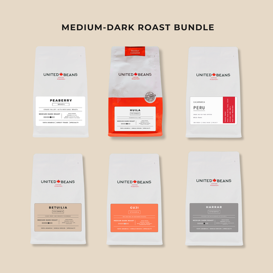 Medium-Dark Roast Coffee Bundle | 6 bags