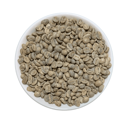 Nicaragua Jinotega FTO Green Coffee Beans
