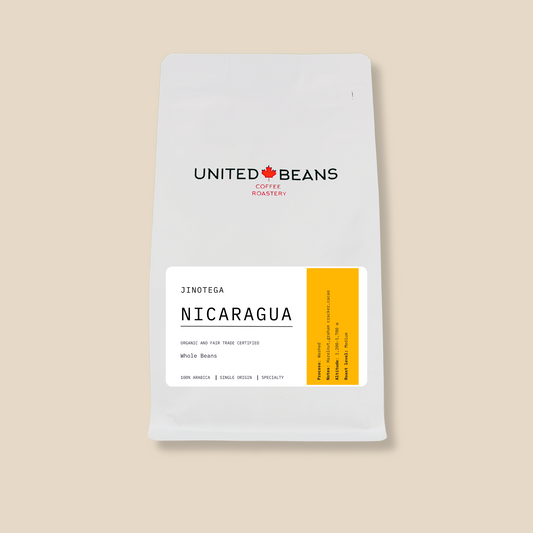 Nicaragua Jinotega Organic | Medium