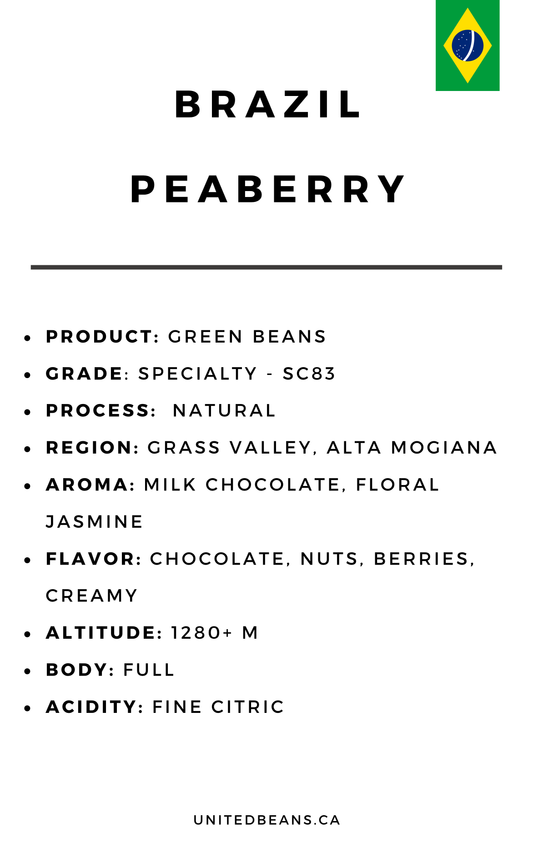 Peaberry Natural | Green Coffee Beans from Brazil
