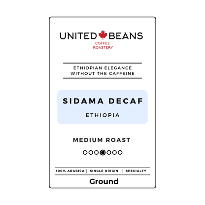 Sidama Decaf | Ground