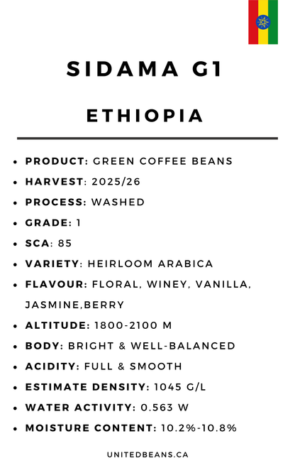 Ethiopia Sidama G1 Washed — Green Coffee Beans