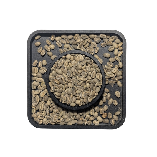 Ethiopia Sidama Washed G2