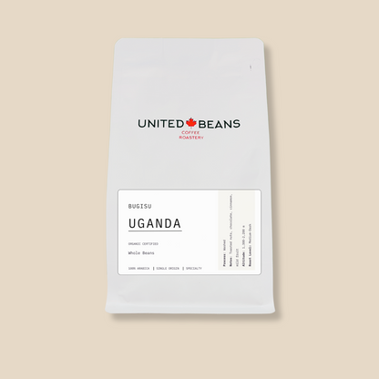 Uganda Bugisu Organic Certified | Medium-Dark