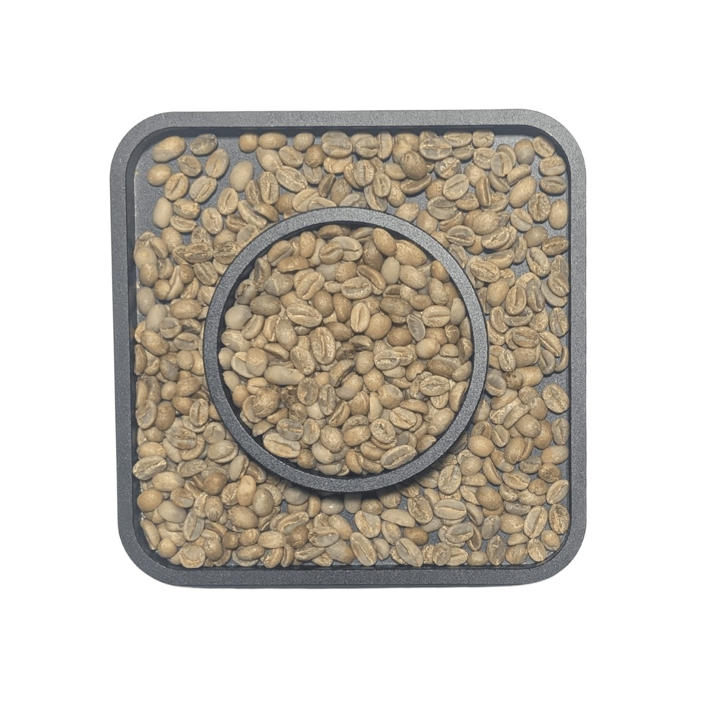Ethiopia Yirgacheffe Aricha — G1 Natural Green Coffee Beans — Blueberry, Stone Fruit and Jasmine