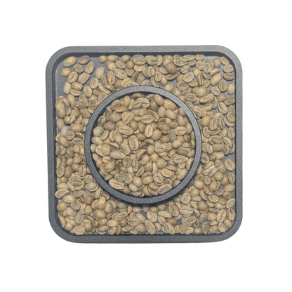 Ethiopia Yirgacheffe Aricha — G1 Natural Green Coffee Beans — Blueberry, Stone Fruit and Jasmine