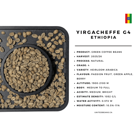 Ethiopia Yirgacheffe G4 Natural - Green Coffee Beans - Passion Fruit, Green Apple and Berry