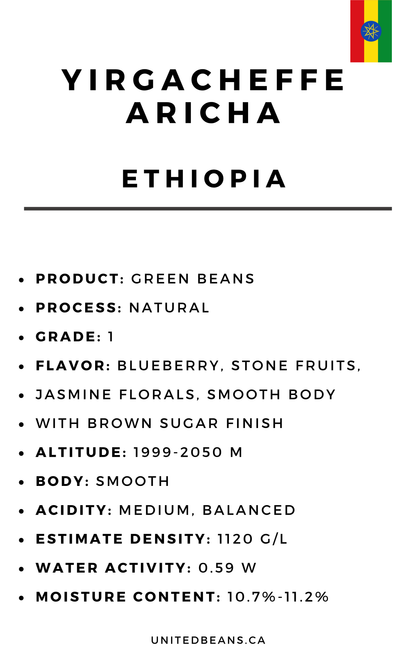 Ethiopia Yirgacheffe Aricha — G1 Natural Green Coffee Beans — Blueberry, Stone Fruit and Jasmine