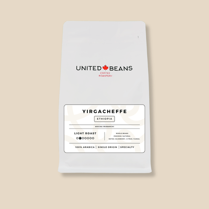 Ethiopian Yirgacheffe Aricha - Light Roast