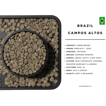 Brazil Campos Altos | Green Coffee Beans - United Beans specialty coffee beans in Canada