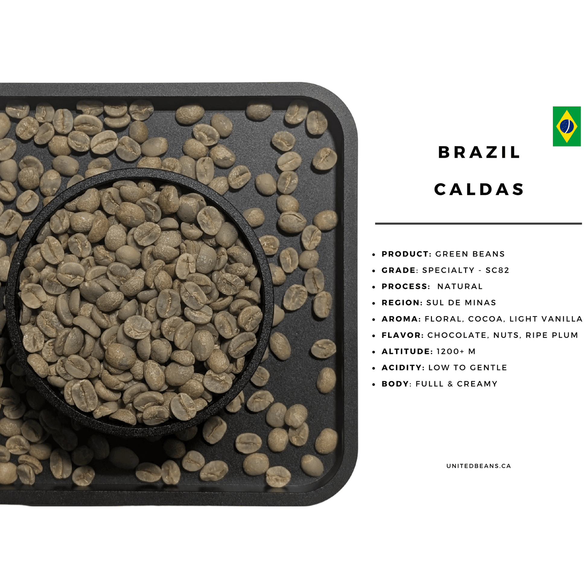 Brazil Caldas natural green coffee beans bag — Sul de Minas SCA 83 specialty arabica wholesale roastery Canada