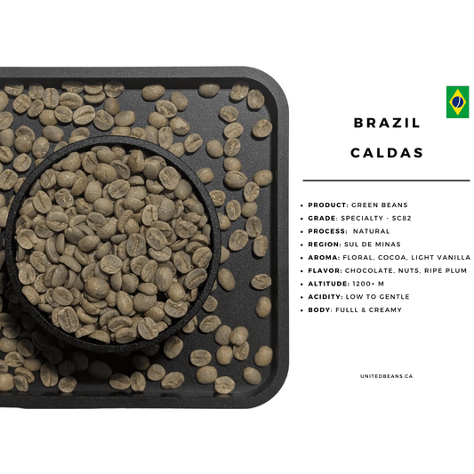 Brazil Caldas natural green coffee beans bag — Sul de Minas SCA 83 specialty arabica wholesale roastery Canada