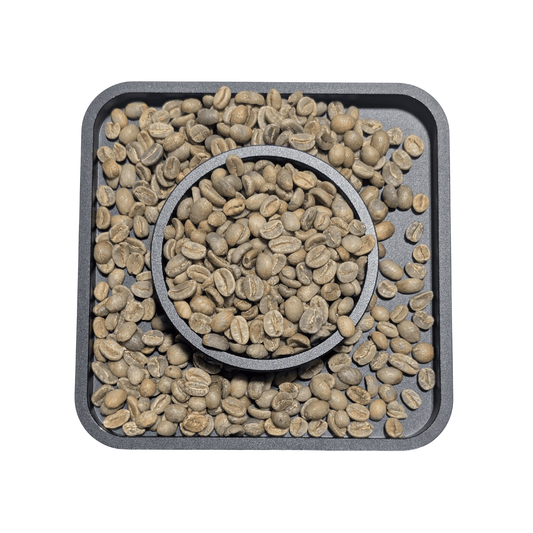 Colombia Pradera organic green coffee beans — washed process Castillo Colombia variety specialty SCA 84 Aratoca