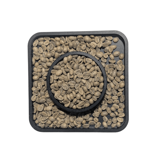 Costa Rica Finca Lum — Honey Green Coffee Beans — Hibiscus, Almond and Honey - United Beans specialty coffee beans in Canada