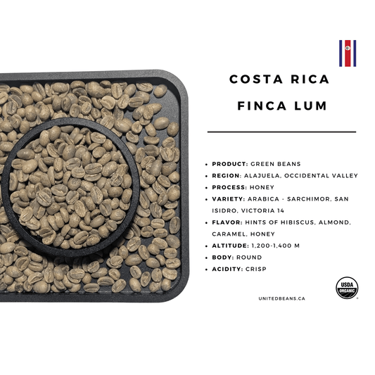 Costa Rica Finca Lum — Honey Green Coffee Beans — Hibiscus, Almond and Honey - United Beans specialty coffee beans in Canada