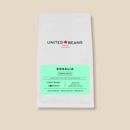 La Rosalia Costa Rica | Light - United Beans