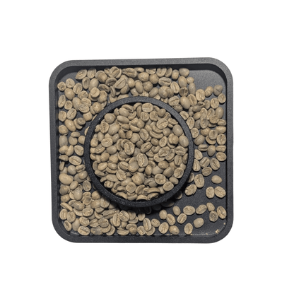 El Salvador SHG EP — Green Coffee Beans — Milk Chocolate, Almond and Dried Fruit - United Beans specialty coffee beans in Canada