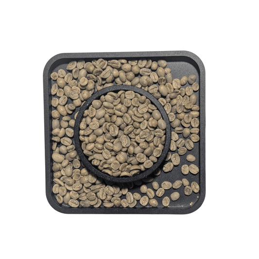El Salvador SHG EP — Green Coffee Beans — Milk Chocolate, Almond and Dried Fruit - United Beans specialty coffee beans in Canada