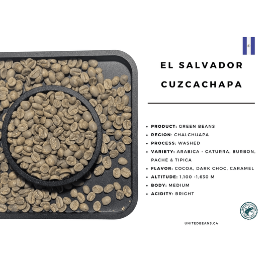 El Salvador SHG EP — Green Coffee Beans — Milk Chocolate, Almond and Dried Fruit - United Beans specialty coffee beans in Canada