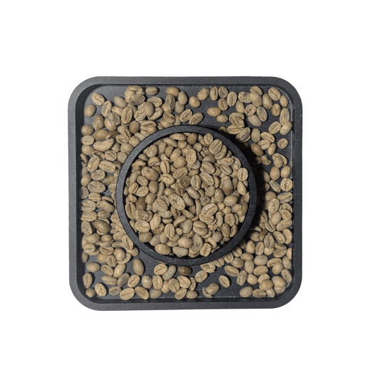 Ethiopia Guji G4 — Natural Green Coffee Beans — Bold Fruit, Chocolate and Winey Depth - United Beans specialty coffee beans in Canada