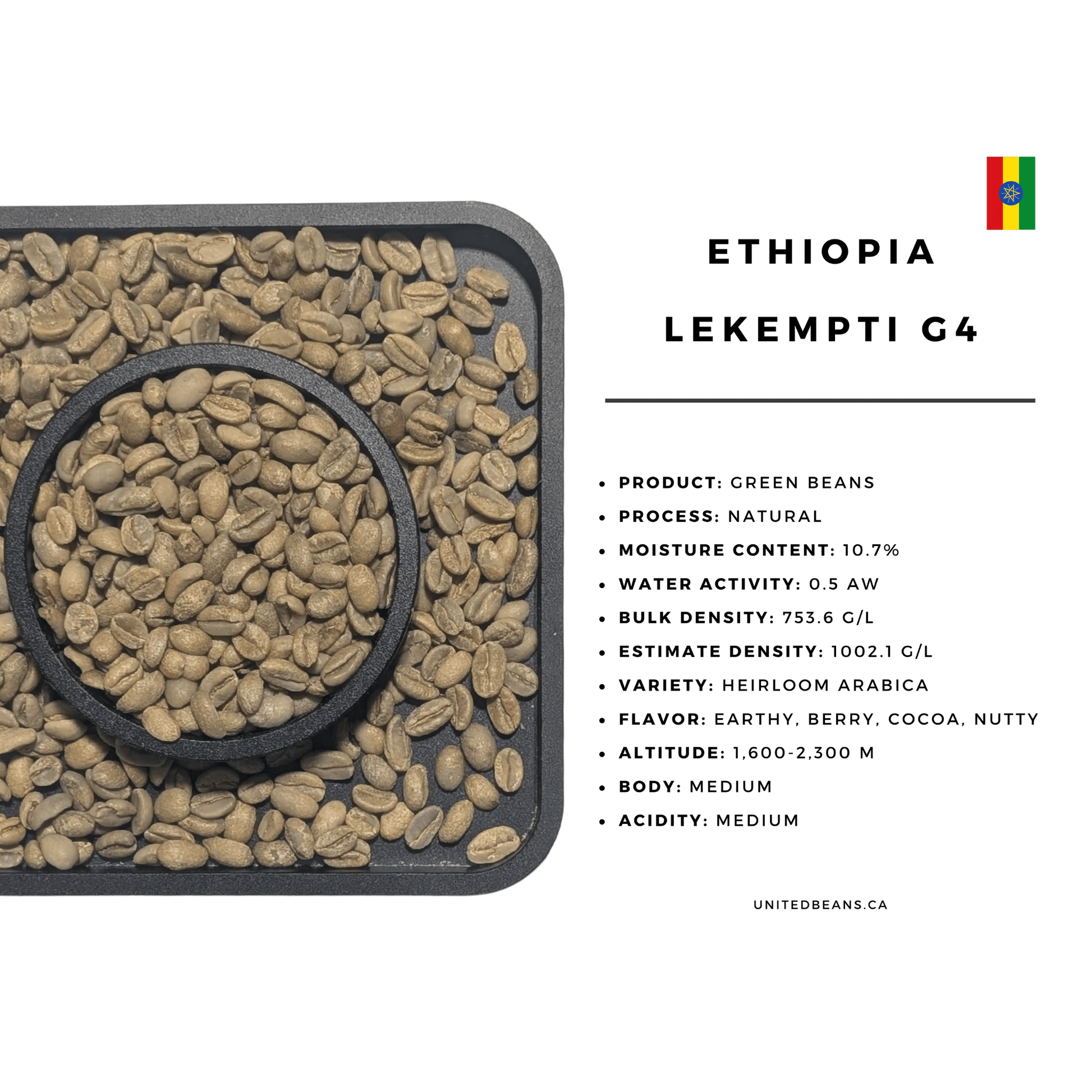 Ethiopia Lekempti Natural G4 — Green Coffee Beans — Dried Fruit, Cocoa and Sweet Spice - United Beans specialty coffee beans in Canada