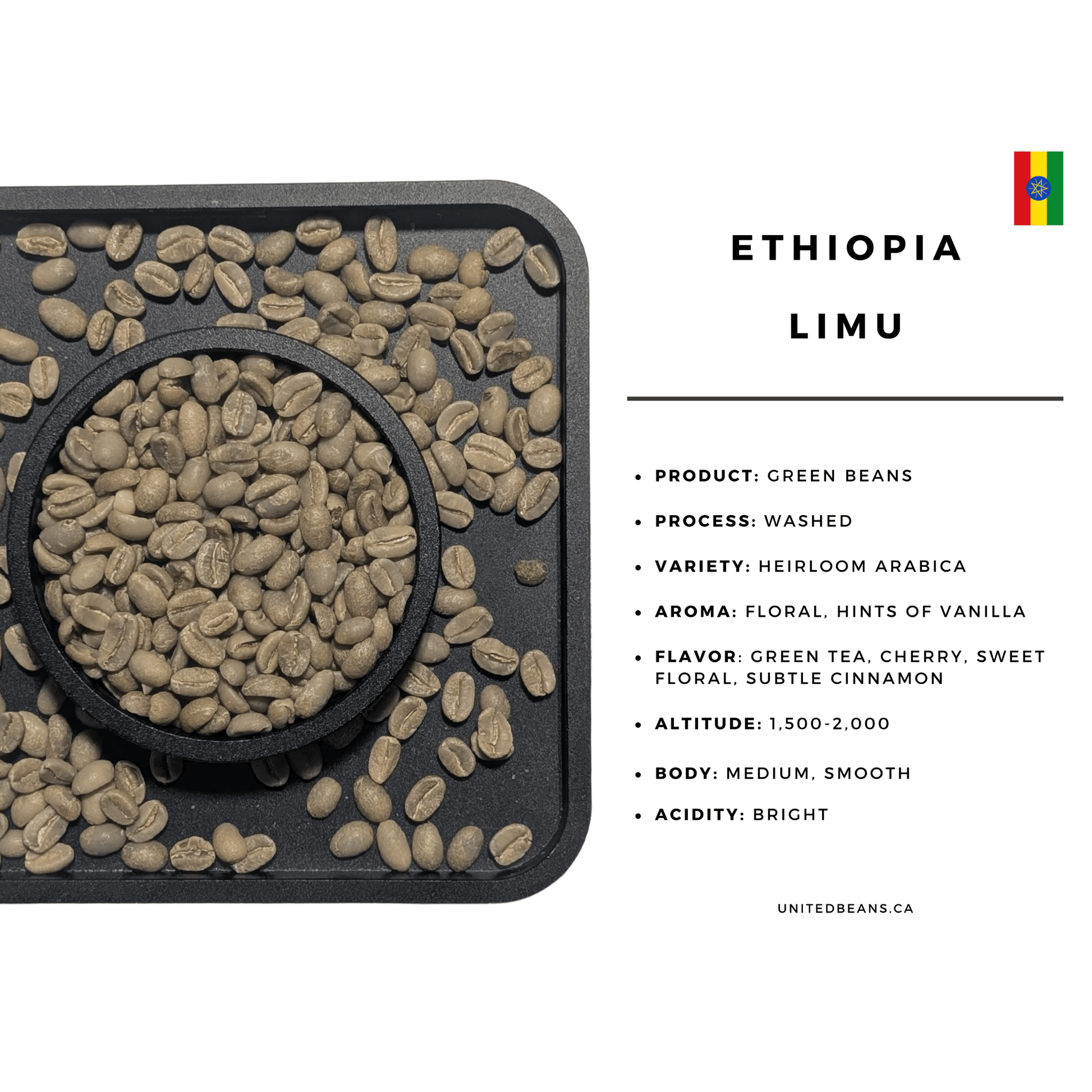 Ethiopia Limu G2 Washed — Green Coffee Beans — Floral, Tea-Like and Cinnamon Sweet - United Beans specialty coffee beans in Canada