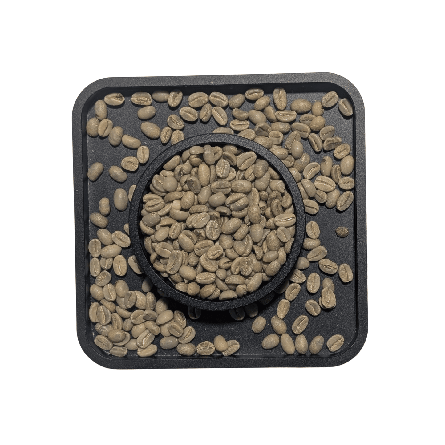 Ethiopia Limu G2 Washed — Green Coffee Beans — Floral, Tea-Like and Cinnamon Sweet - United Beans specialty coffee beans in Canada