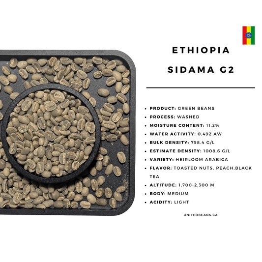 Ethiopia Sidama Washed G2 - United Beans specialty coffee beans in Canada