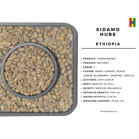 Ethiopia Sidamo Hube — Natural Green Coffee Beans — Berry, Winey and Fruit-Forward - United Beans specialty coffee beans in Canada