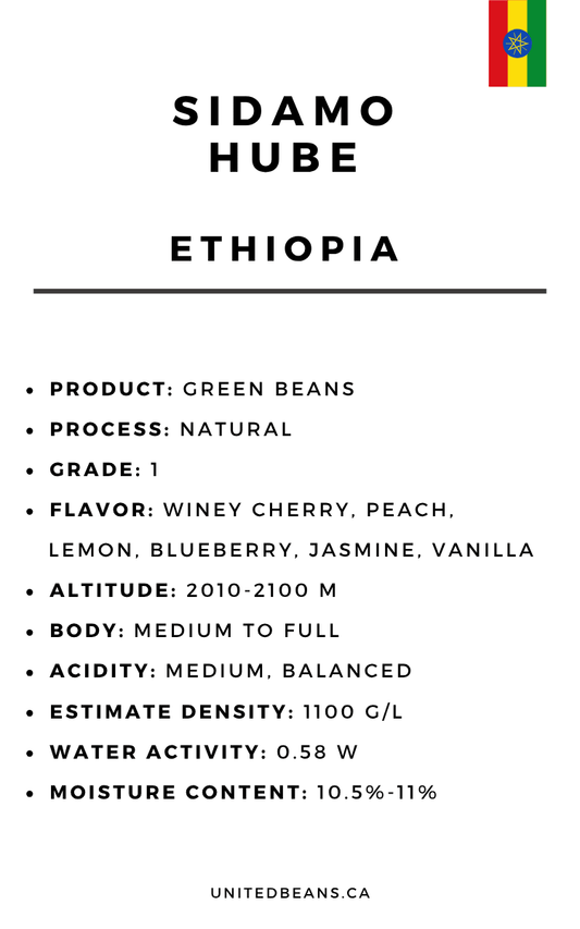 Ethiopia Sidamo Hube — Natural Green Coffee Beans — Berry, Winey and Fruit-Forward - United Beans specialty coffee beans in Canada