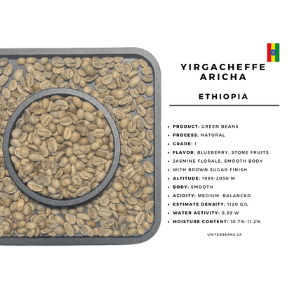 Ethiopia Yirgacheffe Aricha — G1 Natural Green Coffee Beans — Blueberry, Stone Fruit and Jasmine - United Beans specialty coffee beans in Canada