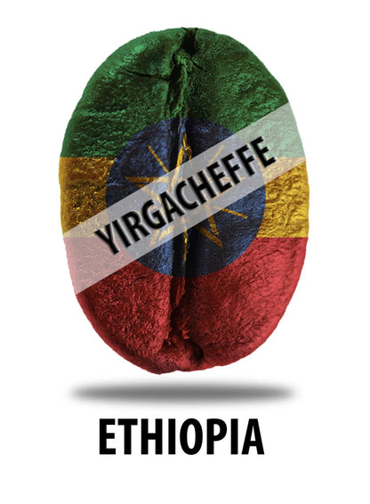 Medium Roast | Whole Beans | Ethiopian Yirgacheffe