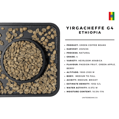 Ethiopia Yirgacheffe G4 Natural - Green Coffee Beans - Passion Fruit, Green Apple and Berry - United Beans specialty coffee beans in Canada