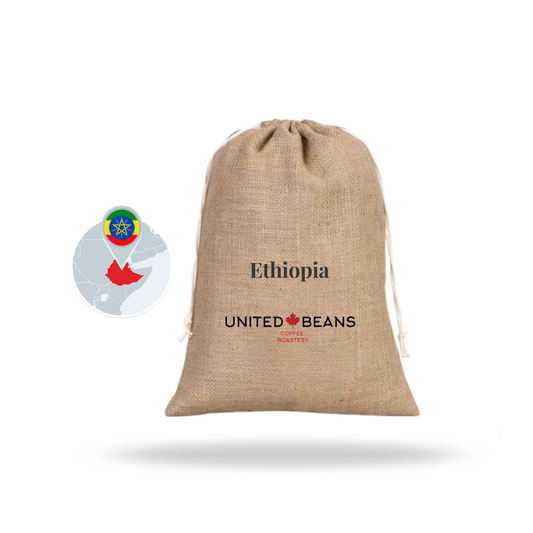 Green Unroasted Coffee Beans | Ethiopia Yirgacheffe