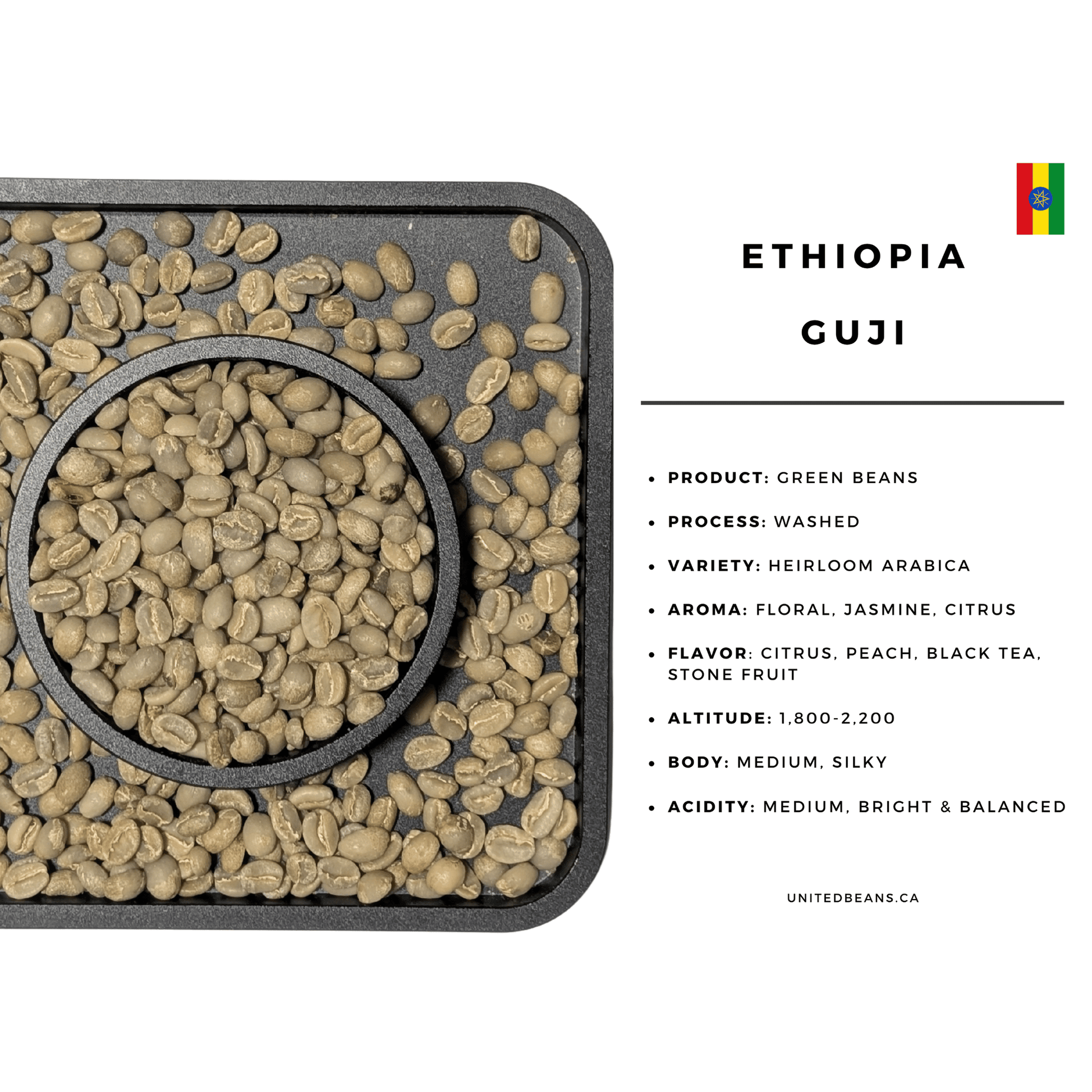 Ethiopian Guji Green Coffee Beans - United Beans specialty coffee beans in Canada