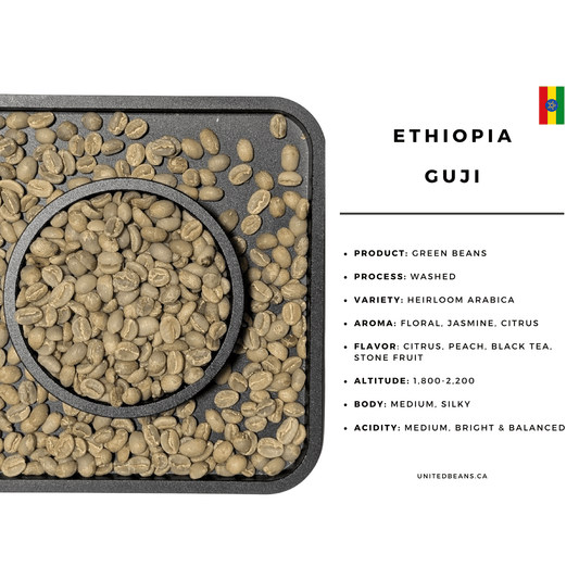 Ethiopian Guji Green Coffee Beans - United Beans specialty coffee beans in Canada