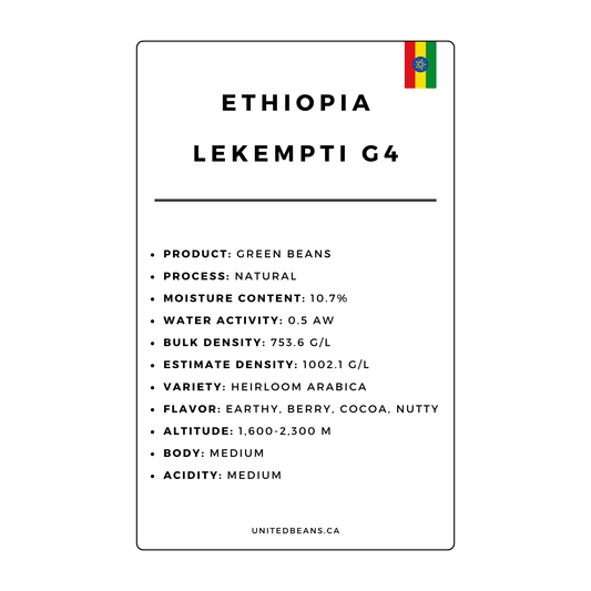 Ethiopian Lekempti Natural G4 Green Coffee Beans - United Beans specialty coffee beans in Canada