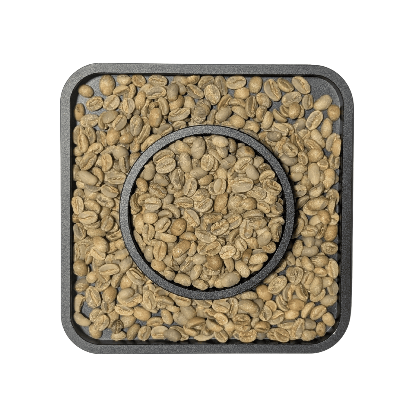 Ethiopian Sidama Natural G4 Green Coffee Beans - United Beans specialty coffee beans in Canada
