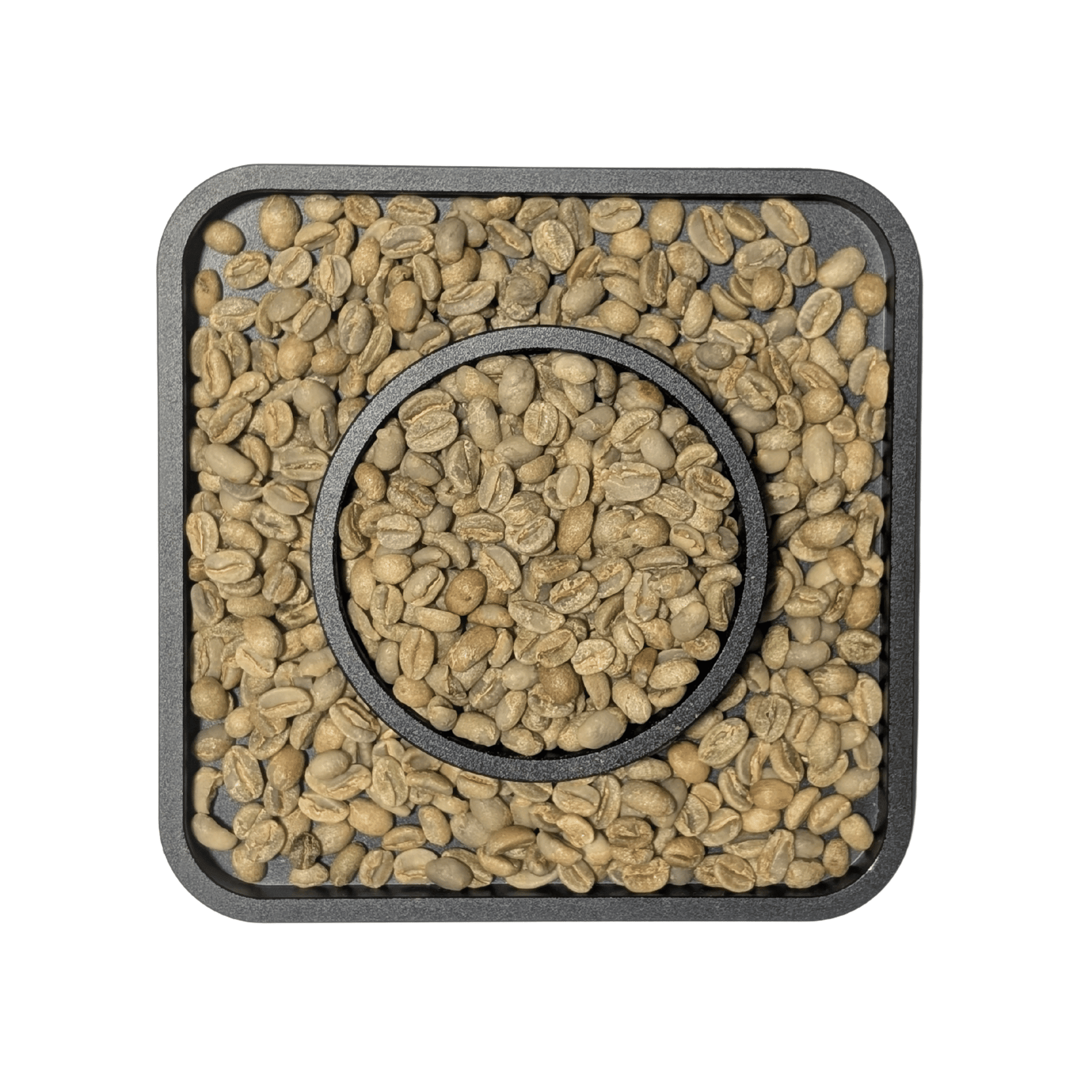 Ethiopian Sidama Natural G4 Green Coffee Beans - United Beans specialty coffee beans in Canada