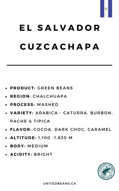 Green Coffee Beans | El Salvador SHG EP - United Beans specialty coffee beans in Canada