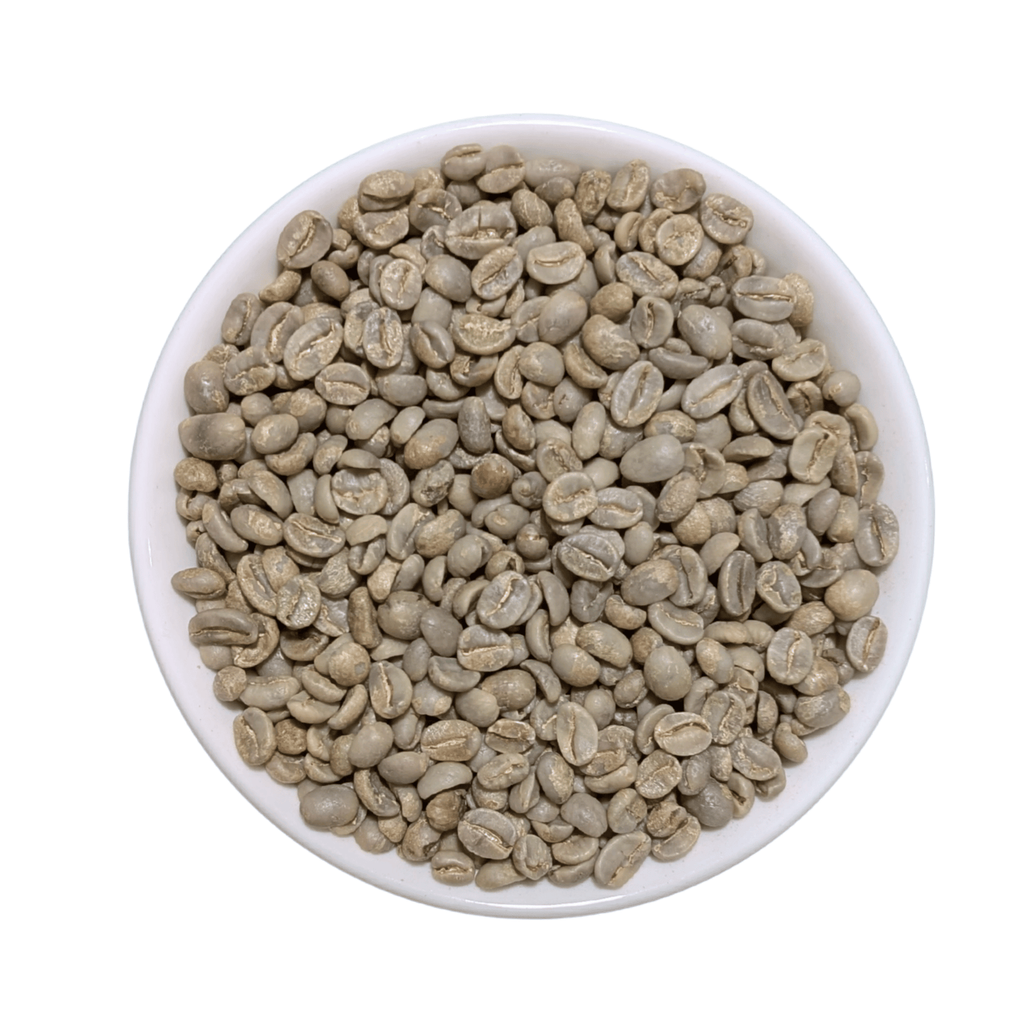 Green Coffee Beans | El Salvador SHG EP - United Beans specialty coffee beans in Canada