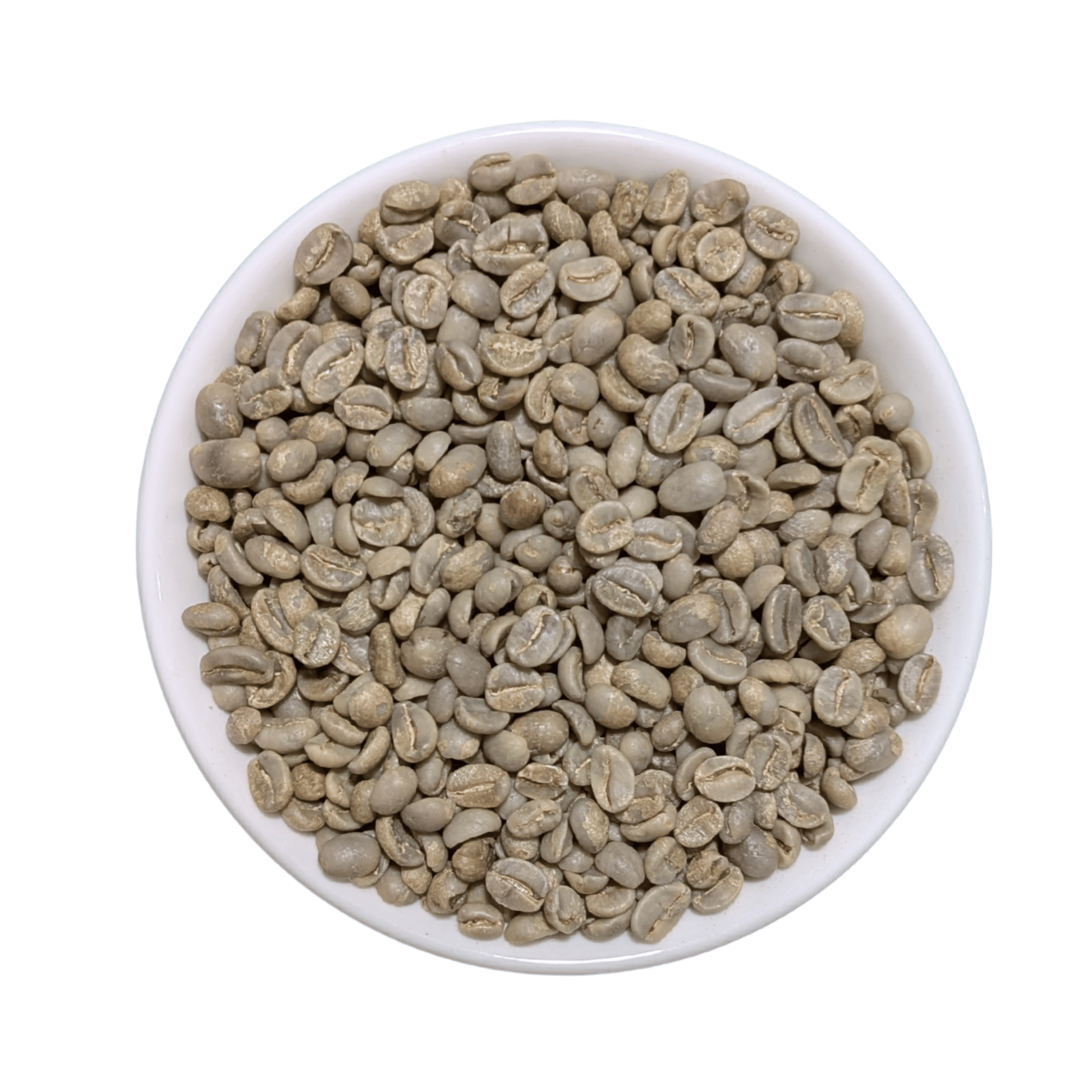 Green Coffee Beans | El Salvador SHG EP - United Beans specialty coffee beans in Canada