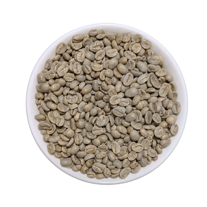 Green Coffee Beans | El Salvador SHG EP - United Beans specialty coffee beans in Canada