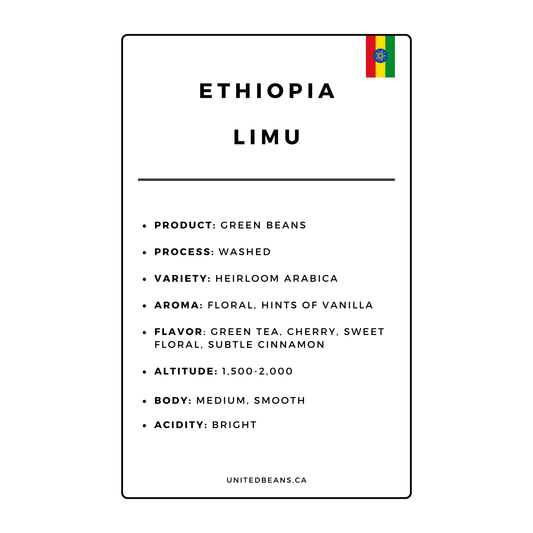 Green Coffee Beans | Ethiopia Limu - United Beans specialty coffee beans in Canada