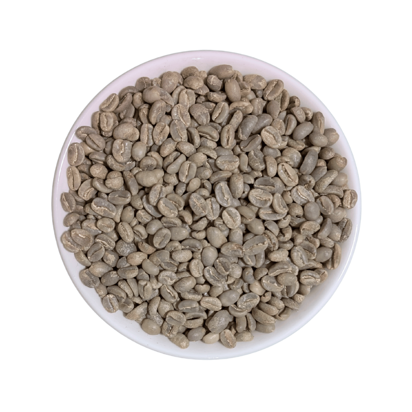 Green Coffee Beans | Ethiopia Yirgacheffe - United Beans specialty coffee beans in Canada