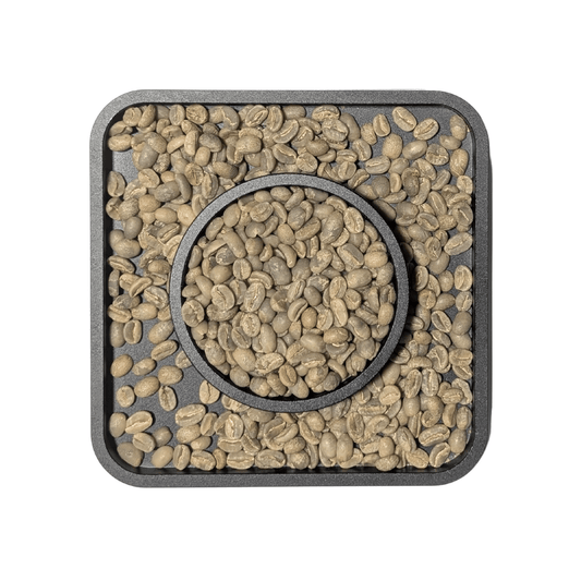 Green Coffee Beans | Ethiopia Yirgacheffe Washed - United Beans specialty coffee beans in Canada