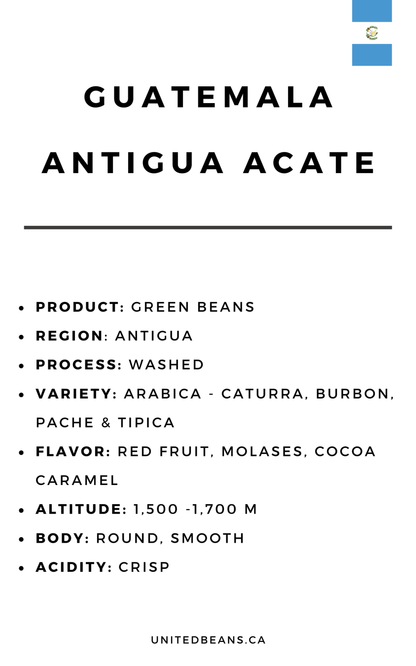 Guatemala Antigua Green Coffee Beans - United Beans specialty coffee beans in Canada