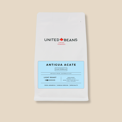 Guatemala Antigua | Light Roast - United Beans specialty coffee beans in Canada
